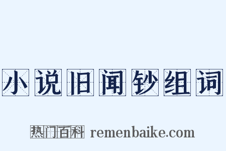 小说旧闻钞组词是什么意思的图片